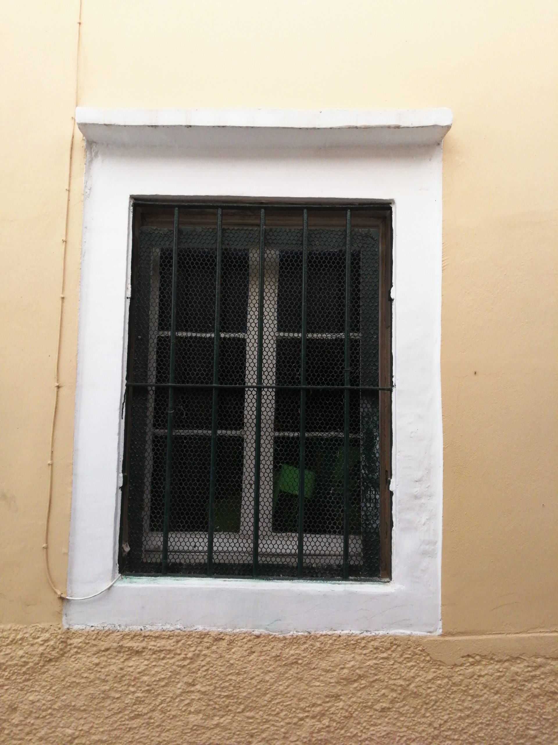 odkimg